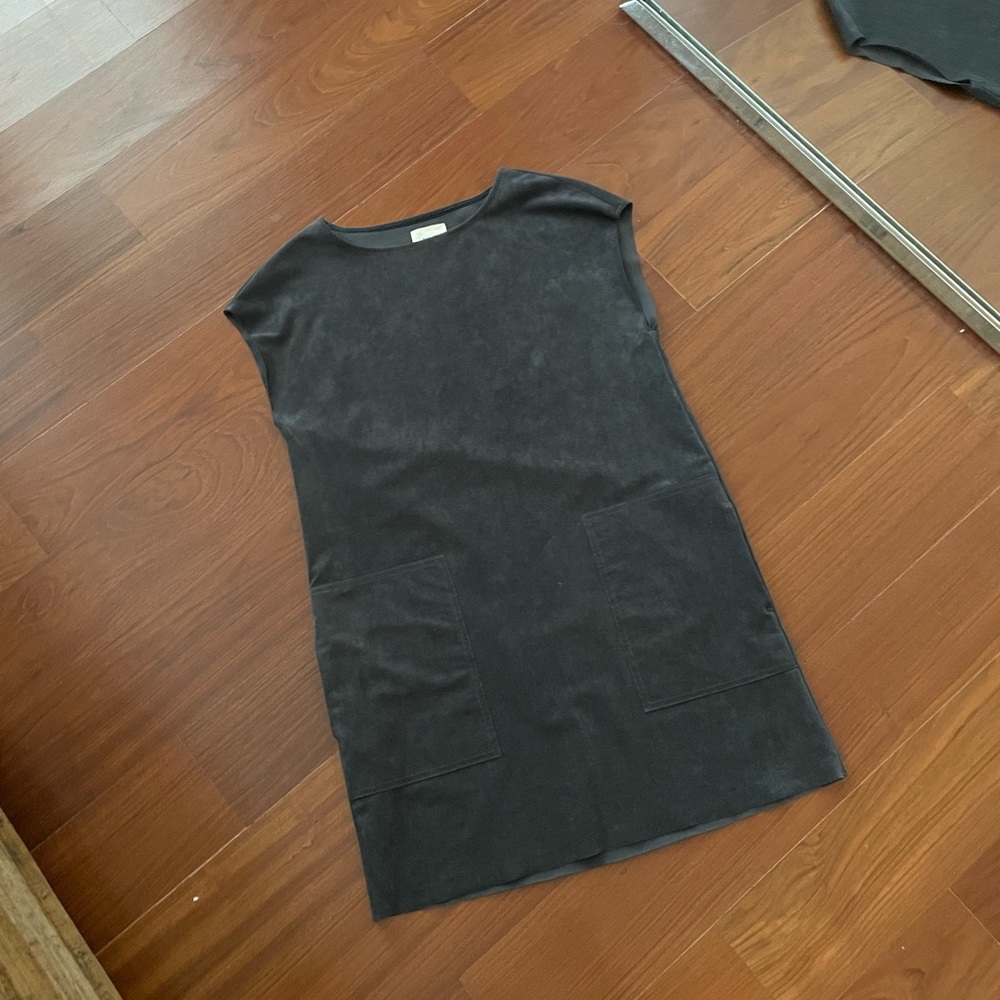 Wilfred Aritizia Faux Suede Mini Dress